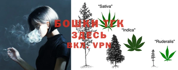 шишки Кукмор