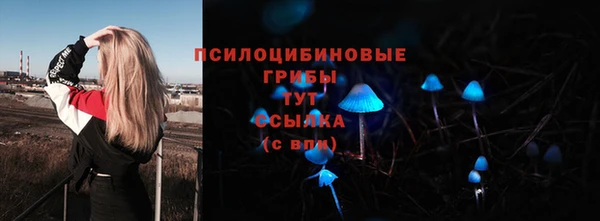 шишки Кукмор