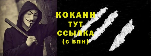 ПСИЛОЦИБИНОВЫЕ ГРИБЫ Кулебаки