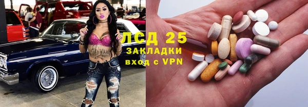 шишки Кукмор