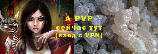 ПСИЛОЦИБИНОВЫЕ ГРИБЫ Кулебаки