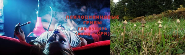 шишки Кукмор